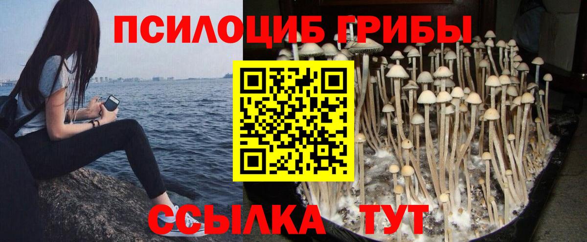 Галлюциногенные грибы GOLDEN TEACHER  купить   Ртищево  Вход с VPN  Галлюциногенные грибы мухоморы 
